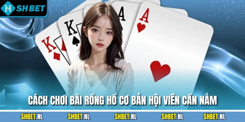 Cách chơi bài Rồng Hổ cơ bản hội viên cần nắm