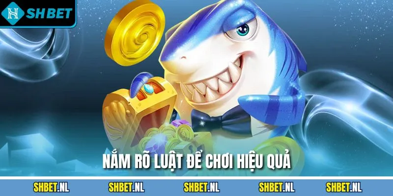 Nắm rõ luật để chơi hiệu quả