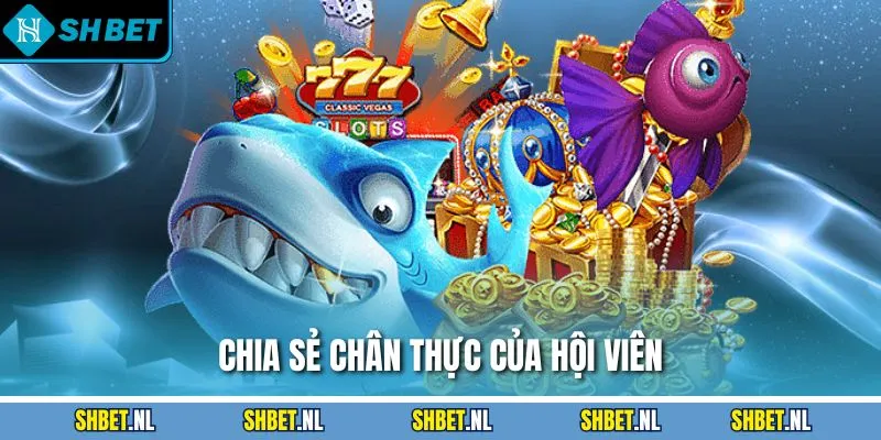 Chia sẻ chân thực của hội viên