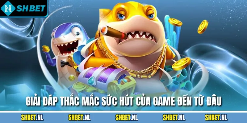 Giải đáp thắc mắc sức hút của game đến từ đâu