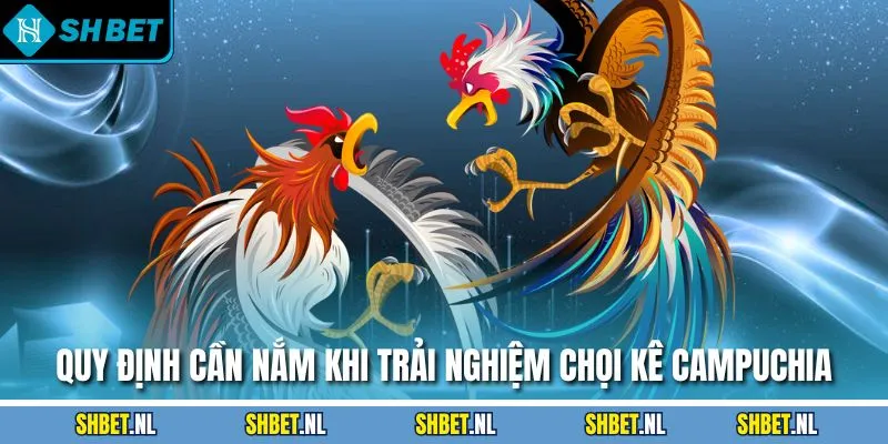 Quy định cần nắm khi trải nghiệm chọi kê Campuchia