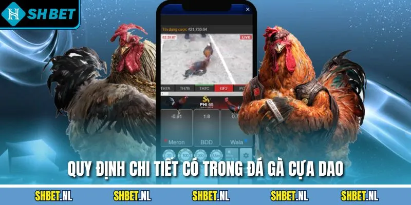 Quy định chi tiết có trong đá gà cựa dao