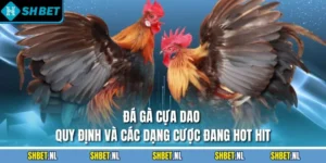 đá gà cựa dao