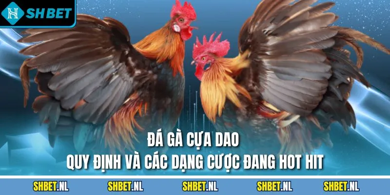 đá gà cựa dao