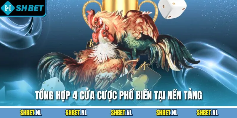 Tổng hợp 4 cửa cược phổ biến tại nền tảng