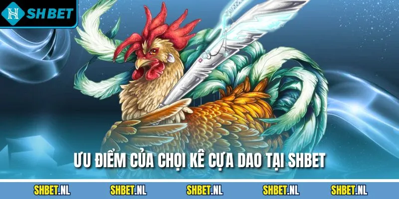 Ưu điểm của chọi kê cựa dao tại SHBET