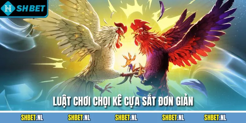 Luật chơi chọi kê cựa sắt đơn giản