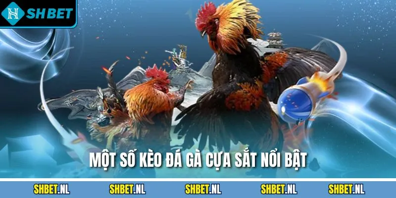 Một số kèo đá gà cựa sắt nổi bật