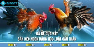 Đá Gà Cựa Sắt