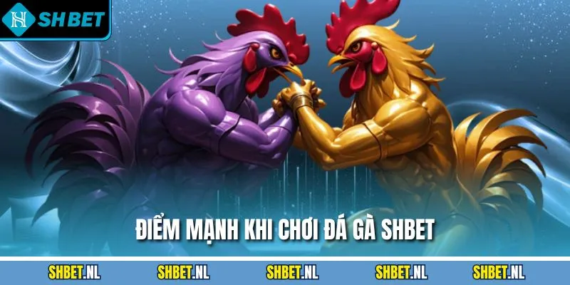Điểm mạnh khi chơi đá gà SHBET