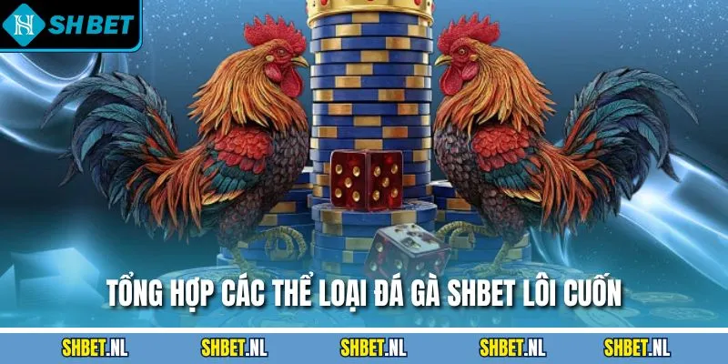 Tổng hợp các thể loại đá gà SHBET lôi cuốn