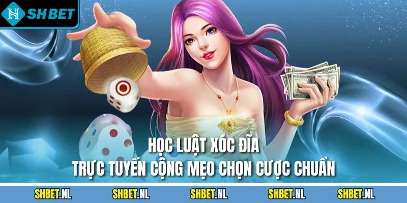 Xóc Đĩa Trực Tuyến