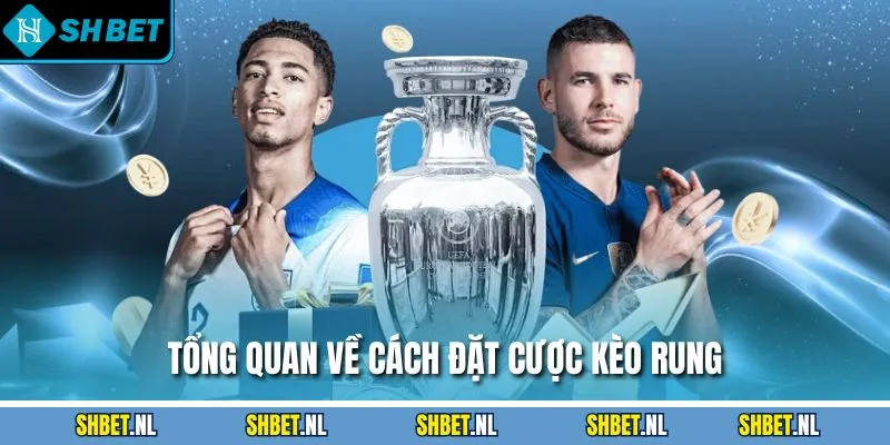 Tổng quan về cách đặt cược kèo rung