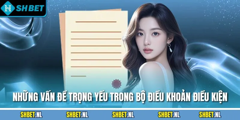 Những vấn đề trọng yếu trong bộ điều khoản điều kiện