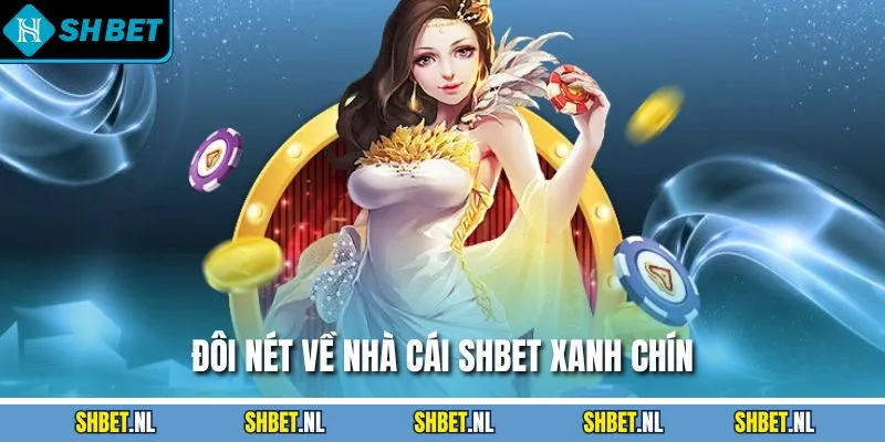 Đôi nét về nhà cái SHBET xanh chín