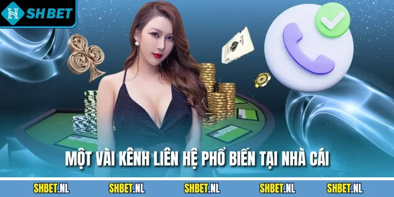 Một vài kênh liên hệ phổ biến tại nhà cái