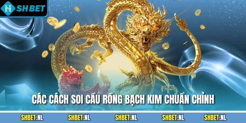 Các cách soi cầu Rồng Bạch Kim chuẩn chỉnh
