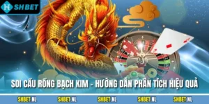 Soi Cầu Rồng Bạch Kim